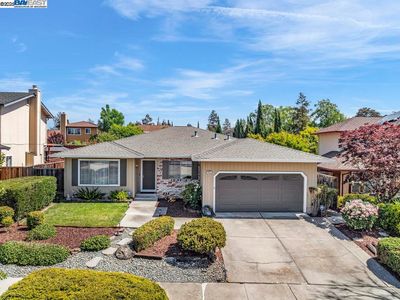 652 Pinot Blanc Way, Fremont, CA, 94539