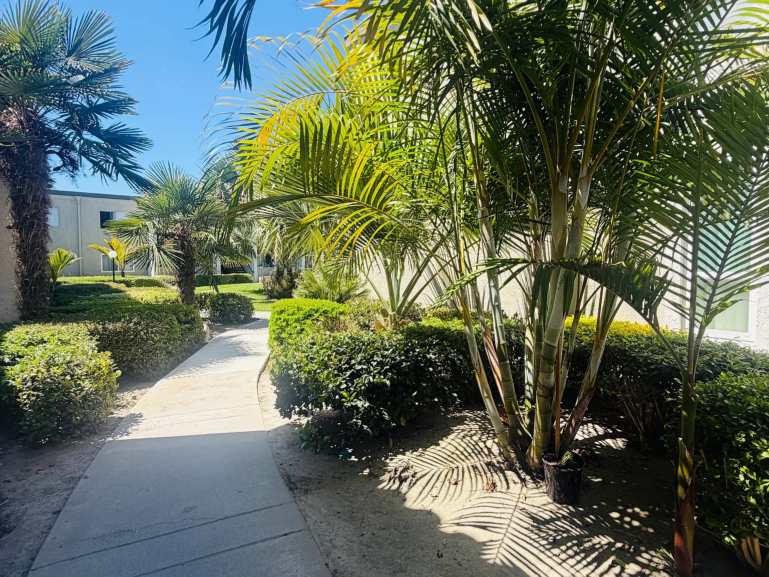 2 bed, 950 sqft, $2,695 — Photo 3