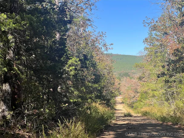 State Highway 71, Clayton, OK 74536