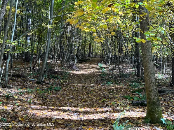 2364 Race Hill Rd, Wyalusing, PA 18853