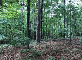 Turtle Ridge Ln, Ellijay, GA 30540