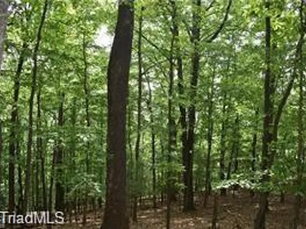 4 Greenstreet Dr Lot 4, Traphill, NC 28685