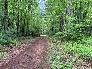 4th image of 0 Woodsong Haven Ln