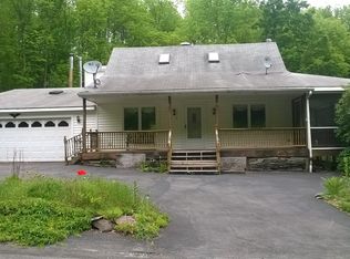 1117 Skip Grey Rd, Downsville, NY 13755