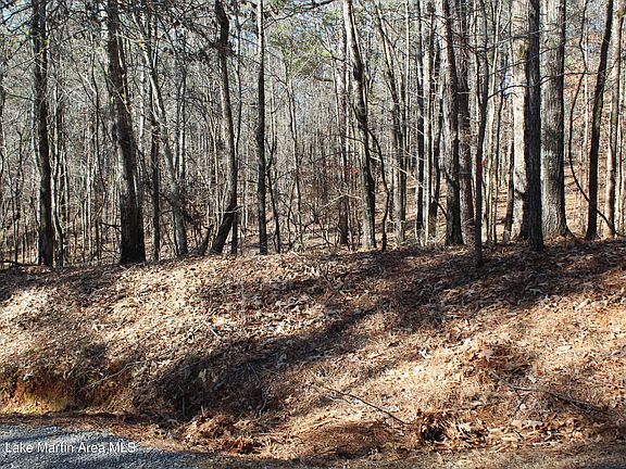 2nd image of LOT 16 Big Buck Ln