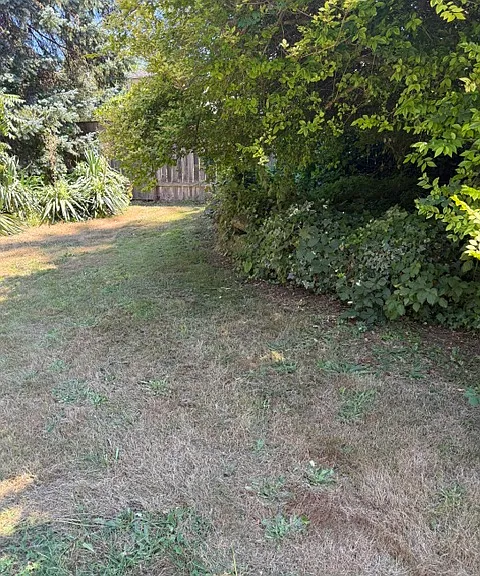 21st Ave SW — Photo 4