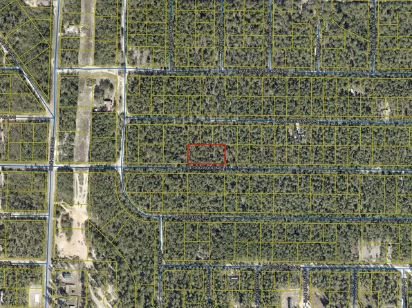 Dogwood Ave E, Defuniak Springs, FL 32433