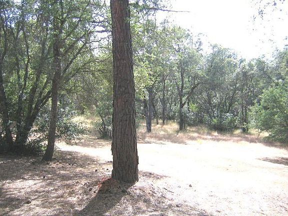 5th image of 5292 Deerwood Dr