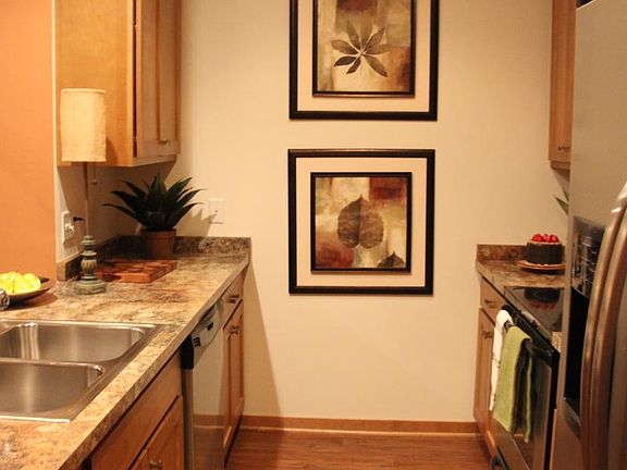 Clean Steel Appliances