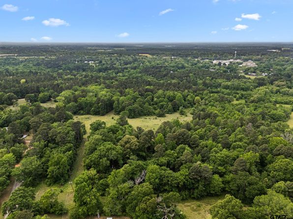 21478 County Road 294, Arp, TX 75750