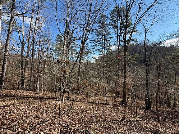 View to the south near the south end of the property