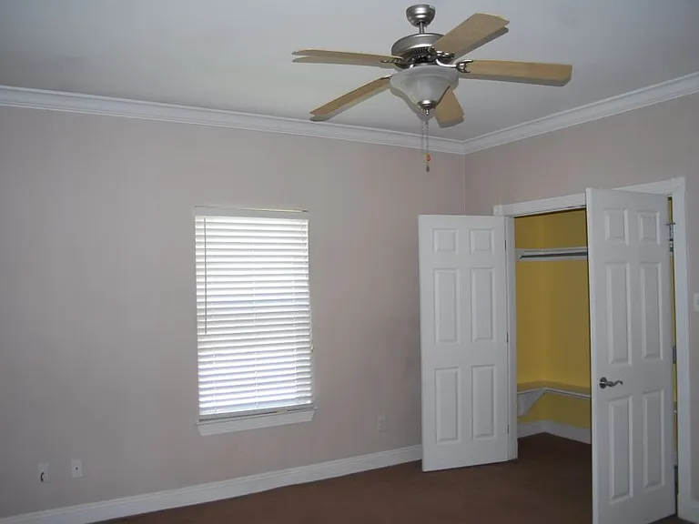 1344 Tropical Cv — Photo 5