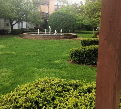 View from patio