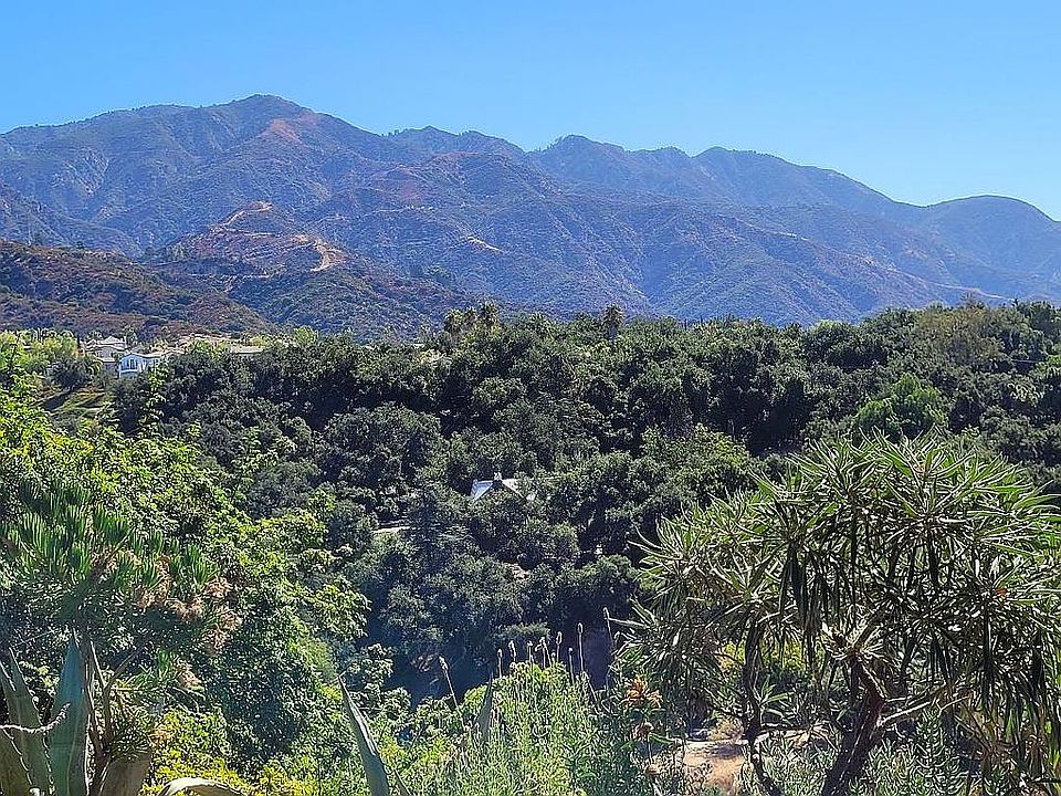 Back Yard View
