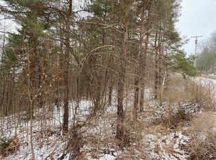 6600 S Old Bald Hill Rd, Springwater, NY 14560