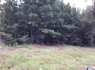 Bruorton Rd, Hemingway, SC 29554