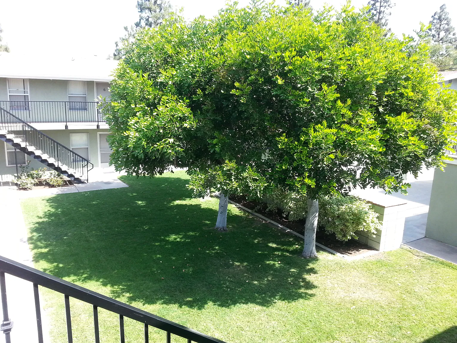 1 bed, 590 sqft, $1,700 — Photo 3