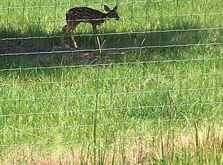 Union Church Rd, Leesville, SC 29070