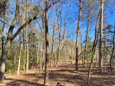 265 Etula Dr, Dahlonega, GA, 30533
