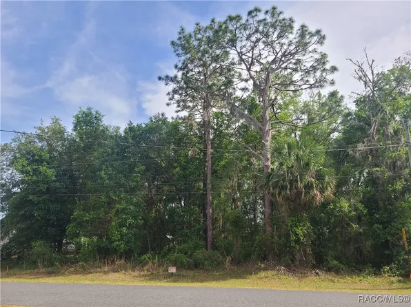 SE 195th Ln, Dunnellon, FL 34431