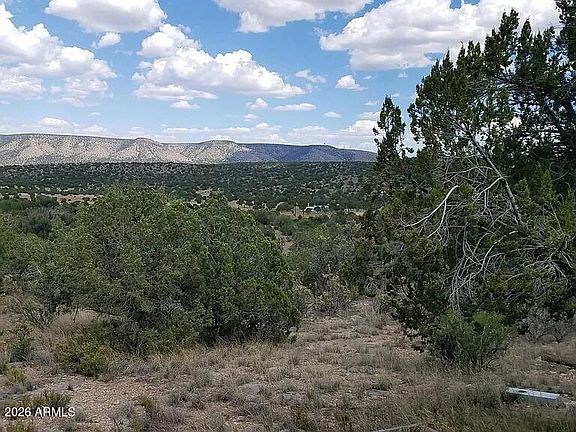 5th image of 56766 N BRIDGE CANYON Parkway #4367
