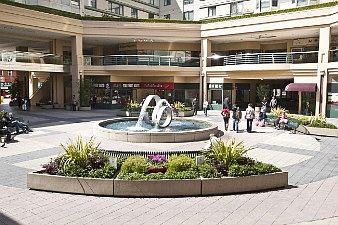 :: 988 Franklin Street, #1101