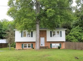1604 Pine Ave, Buena Vista, VA 24416