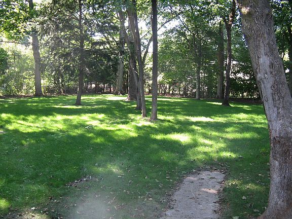 View of large wooded back yard