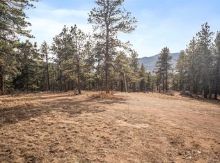 260 Bailey Drive LOT 6, Bailey, CO 80421