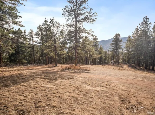 260 Bailey Drive LOT 6, Bailey, CO 80421