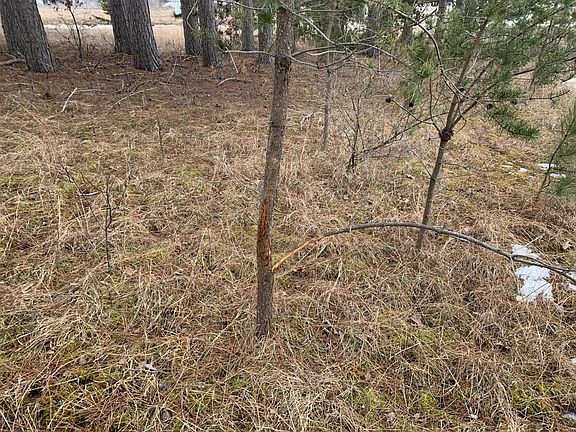 4th image of Airport Rd