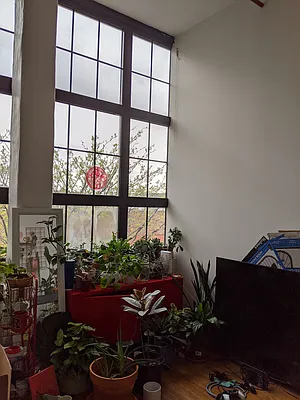 Rented by Carnegie Management Inc | media 4