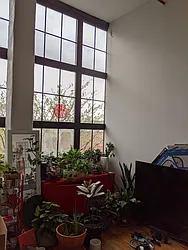 Rented by Carnegie Management Inc