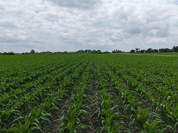3rd image of 53 County Road 453