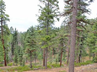 1075 W Raspberry Ln, Duck Creek Village, UT 84762