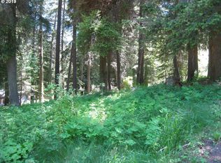 0 Wilderness Rd, Wallowa Lake, OR 97846