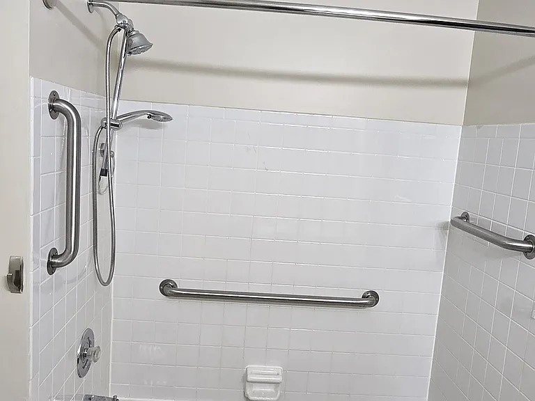 Master tub and shower