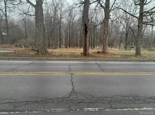 725 N Putnam St, Williamston, MI