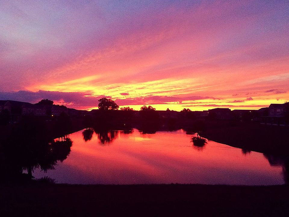 Amazing Sunsets