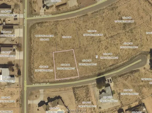 7775 E Tall Tree Court, Kingman, AZ 86401