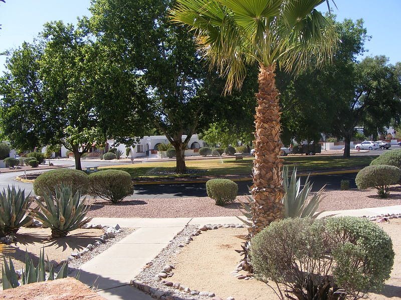 1st image of 260 S Paseo Lobo
