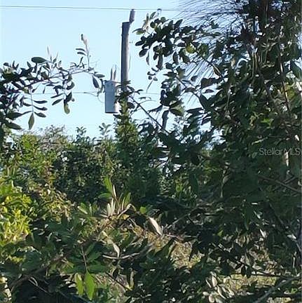 3rd image of 11161 Reinhardt Ave