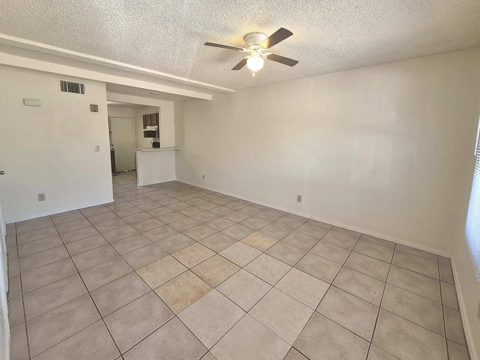 1017 North 6th Avenue - 1 — Photo 4