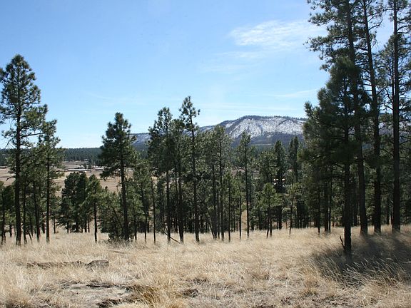 3rd image of 1 E County Road 2330