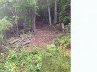 90 & 100 Elkins Rd, Leicester, NC 28748