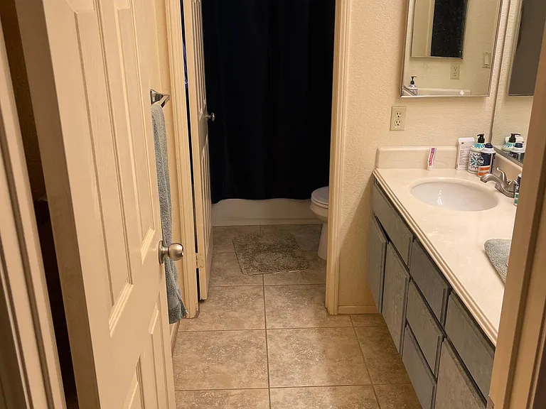 11337 Paul Barwick Ct — Photo 8