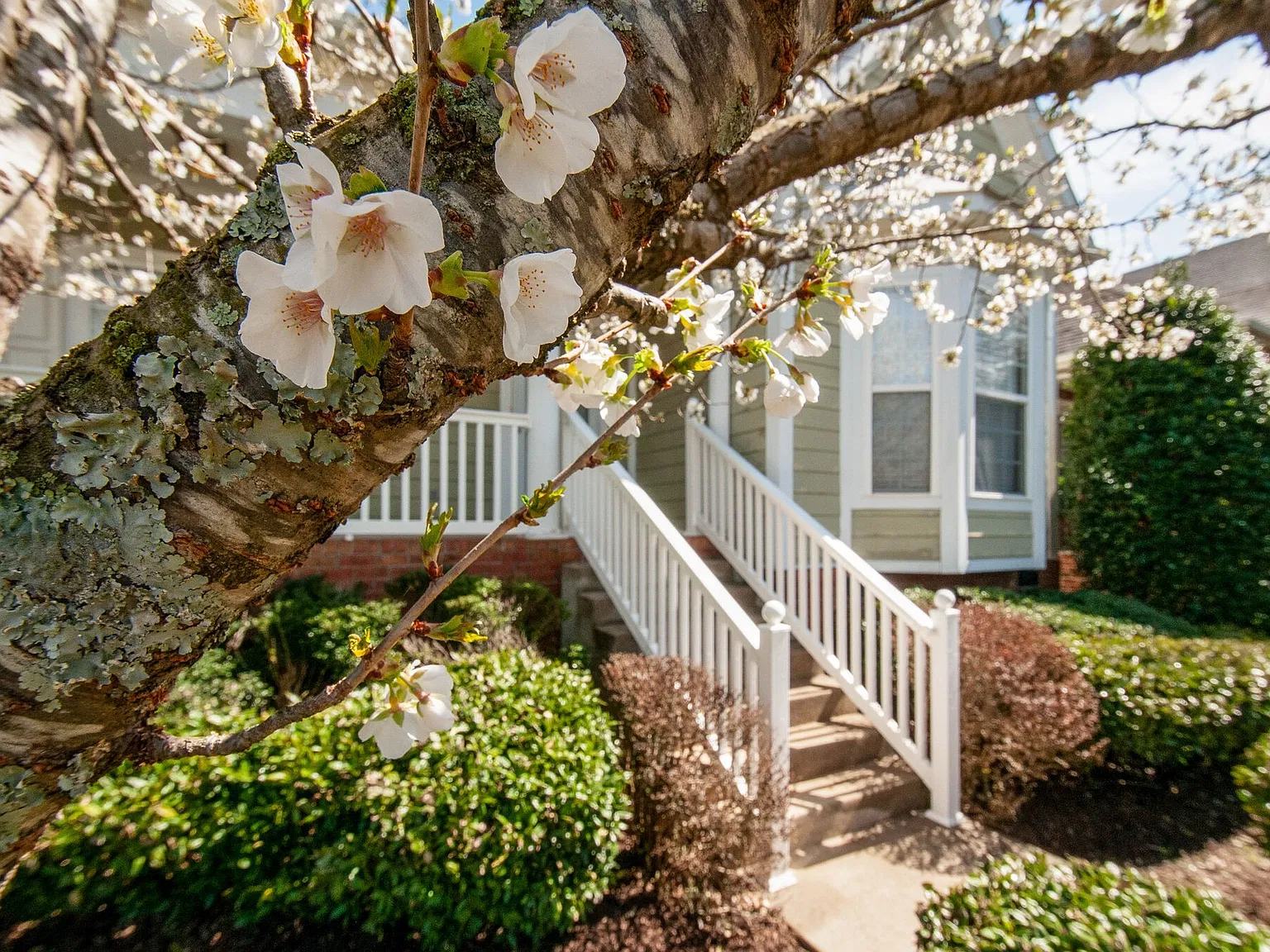 3 bed, 1653 sqft, $2,900 — Photo 4