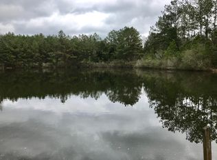 569 Carey Byrd Rd, Carriere, MS 39426