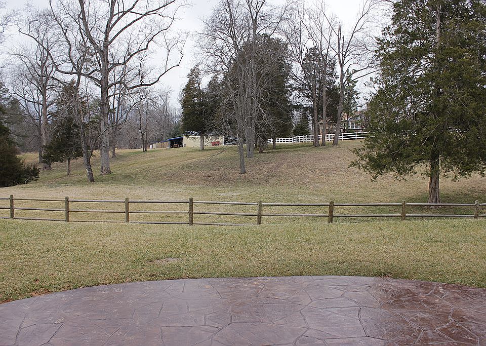 Backyard View