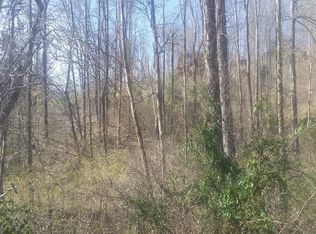 385 Mystic Star Dr, New Tazewell, TN 37825